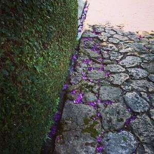 首里金城町の石畳