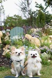 素敵なお庭の前で