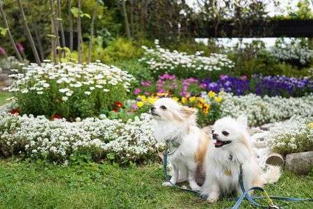 素敵なお庭の前で　その２