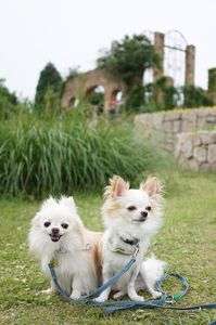 気持ちの良い場所♪