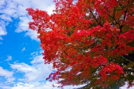 雨上がりの秋空