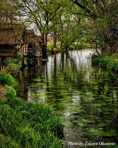 雨の日の水車小屋