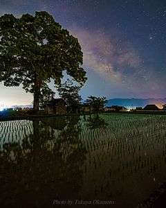 水田に映える星空