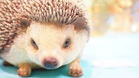 久々の体験会～小物撮影～