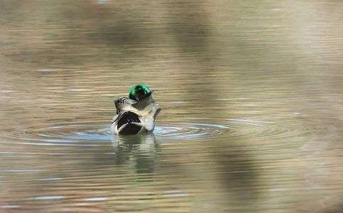 右を見ています