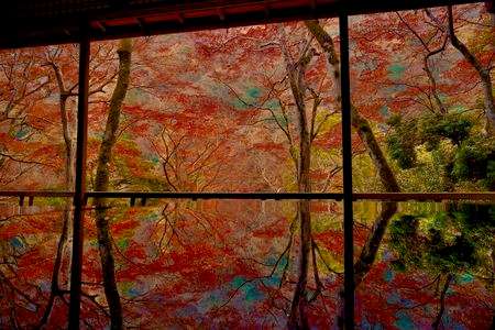 はじめての京都紅葉