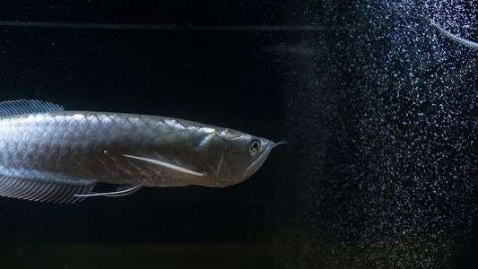 ちょっと大きく