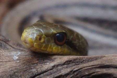 ガラス越しとは思えない