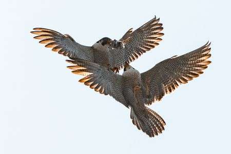 空中給油（その１）