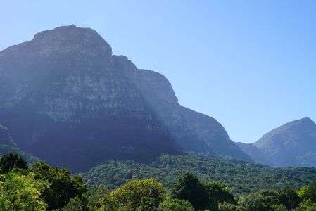 KIRSTENBOSCH植物園、なんだかジュラシックパーク