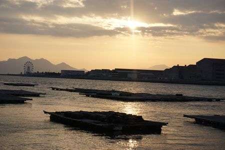 牡蠣筏のある風景