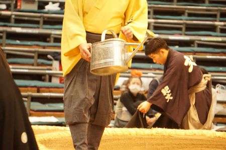 早く芽が出ないかなぁ