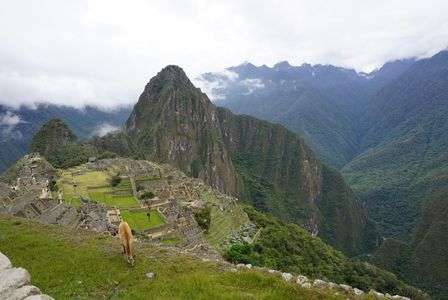 マチュピチュとリャマ