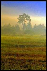 小田代ケ原の貴婦人