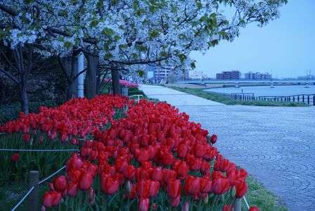 お天気よくなくても