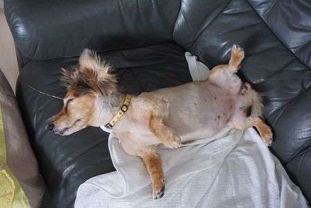 何撮ってるのよー