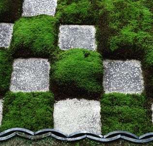 東福寺の北庭 小市松