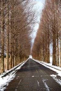 河北潟　冬のソナタ通り