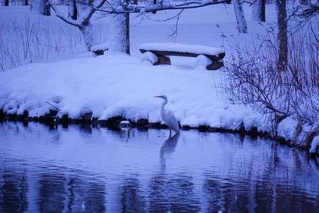 佇みて何想う。。。