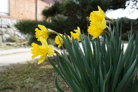 いろんな効果を試してみました