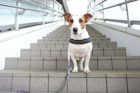 何かくれよ～！