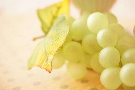 名古屋 栄 体験会 3