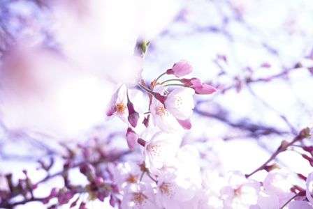 数ある中で、貴方を見つけた。