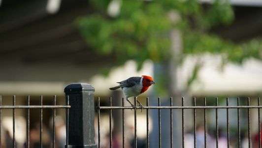 パールハーバーにて