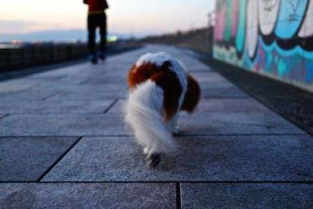 消された落書き