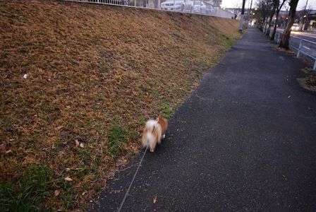 構図というものを意識してみた