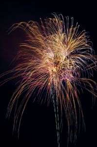 夏の風物詩(2019/8/3)