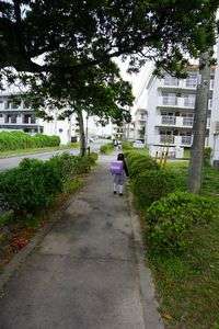 はじめの一歩！