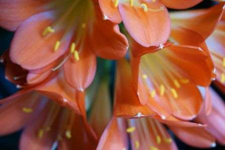 カメラまかせです。