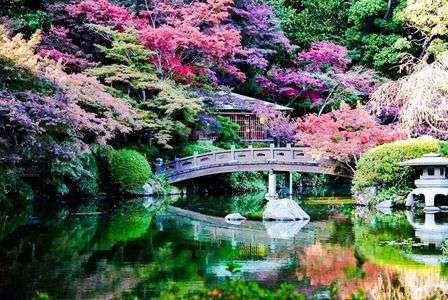 長府毛利邸の紅葉