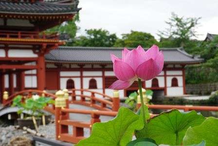 201607母娘旅行～京都～