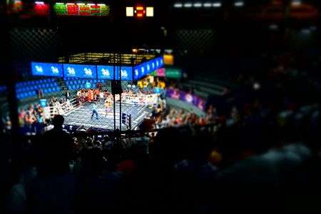 ムエタイファイッ！