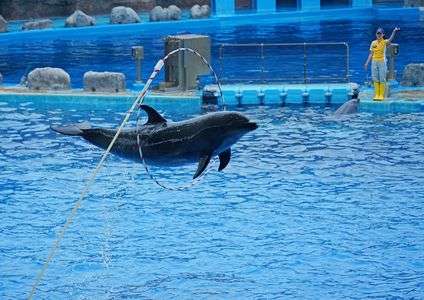 上手にくぐれました！