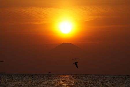 夕日　～ダイヤモンド富士～