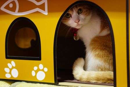 一軒家購入！(笑)