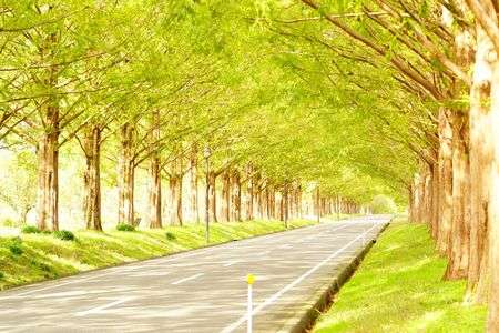 さとうち　葛原よしひろカメラマンと巡る 近江高島 撮影会