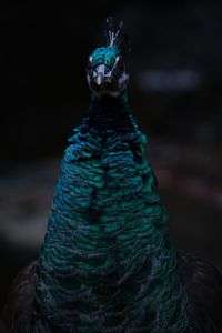 東山動物園にて