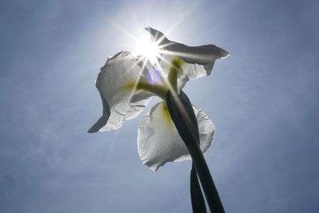 水郷潮来(^^)／~~~