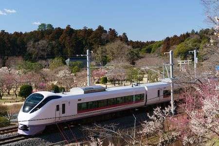 水戸の春が来ました