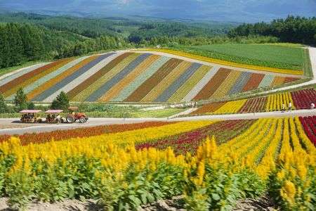 北海道の景色