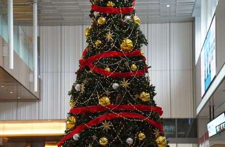 広島駅構内のツリー