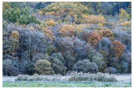 秋のファンデーション