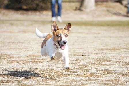 ボール遊び2017/1/28