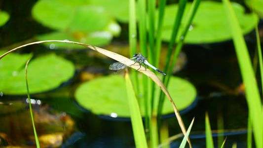 やっと止まってくれた