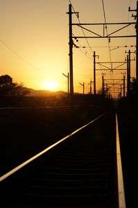 どこかへ行こうか。。。