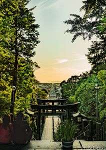 二人のまっすぐな道